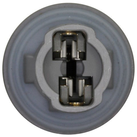Back Up Light Socket WVE 1P2392
