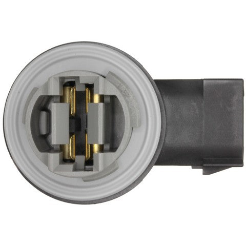 Tail Light Socket WVE 1P2395