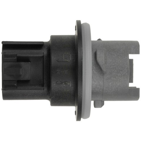 Tail Light Socket WVE 1P2398