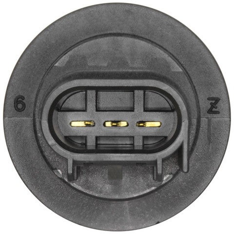 Tail Light Socket WVE 1P2398