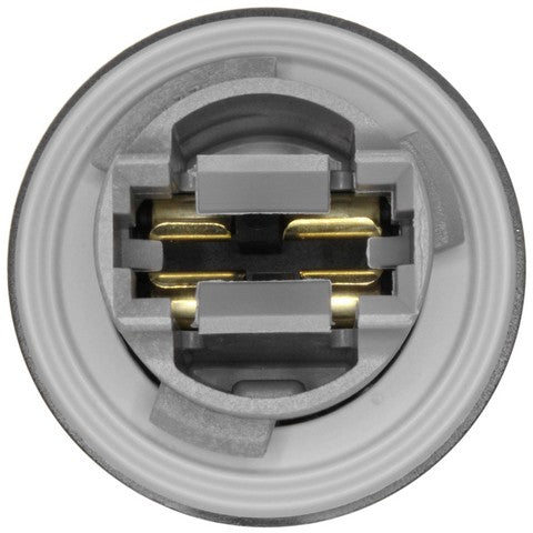 Tail Light Socket WVE 1P2398