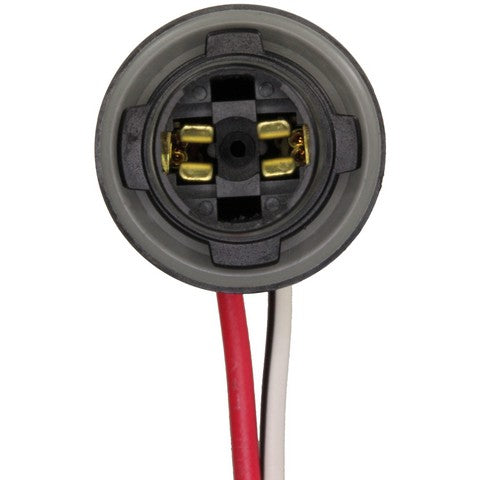 Forward Light Harness Socket WVE 1P2410