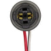 Forward Light Harness Socket WVE 1P2410