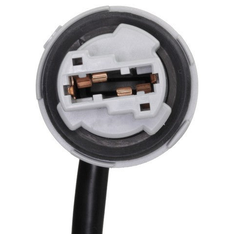 Forward Light Harness Socket WVE 1P2411