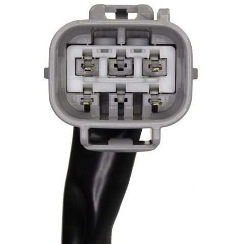 Forward Light Harness Socket WVE 1P2411