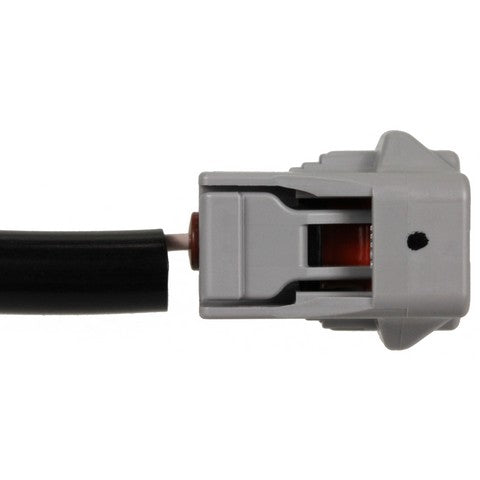 Ignition Knock (Detonation) Sensor Harness WVE 1P2414