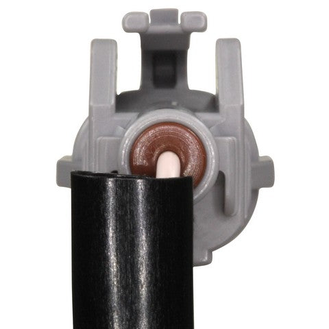 Ignition Knock (Detonation) Sensor Harness WVE 1P2414