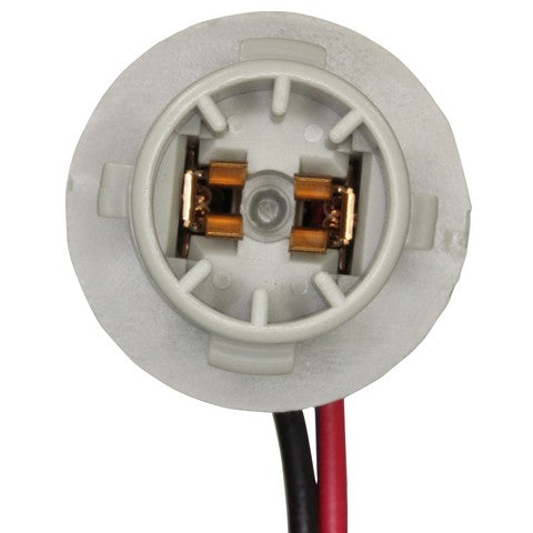 Tail Light Connector WVE 1P2416