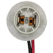 Tail Light Connector WVE 1P2416