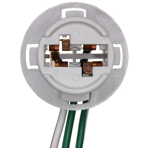 Tail Light Connector WVE 1P2417