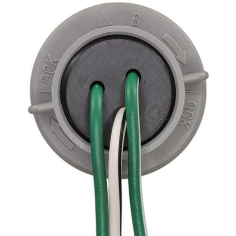 Forward Light Harness Socket WVE 1P2419