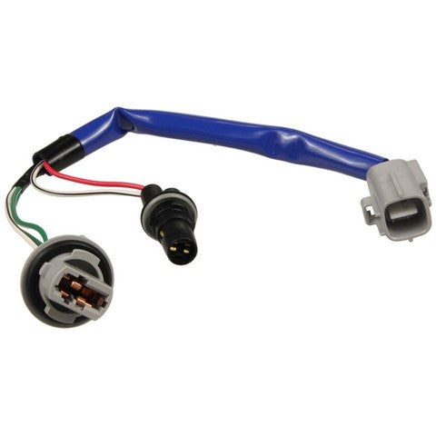 Forward Light Harness Socket WVE 1P2419