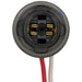 Forward Light Harness Socket WVE 1P2419