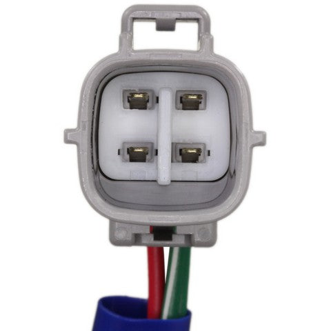 Forward Light Harness Socket WVE 1P2419