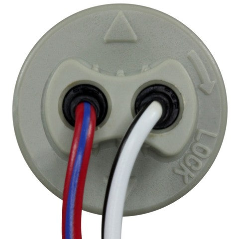 Tail Light Connector WVE 1P2423
