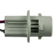 Tail Light Connector WVE 1P2423