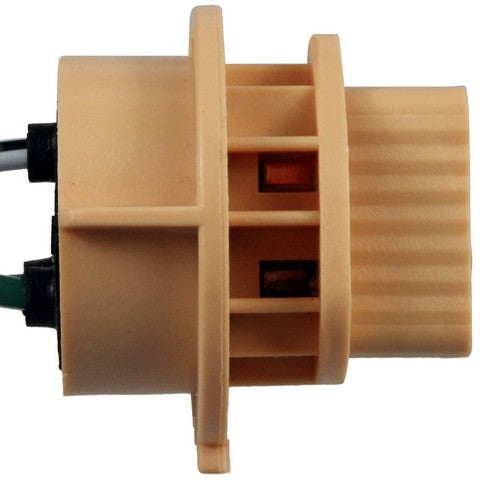 Tail Light Connector WVE 1P2423