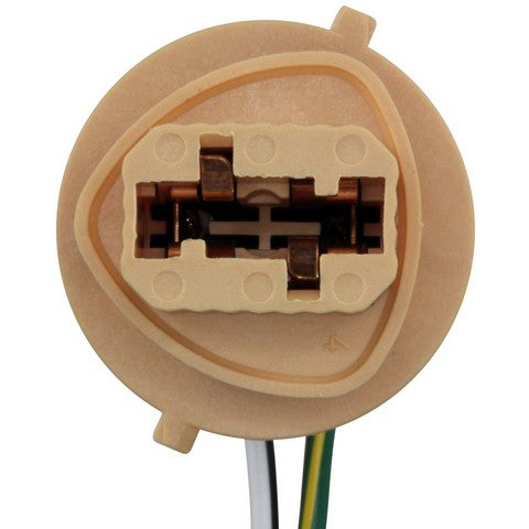 Tail Light Connector WVE 1P2423