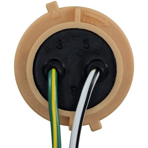 Tail Light Connector WVE 1P2423
