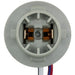 Tail Light Connector WVE 1P2423