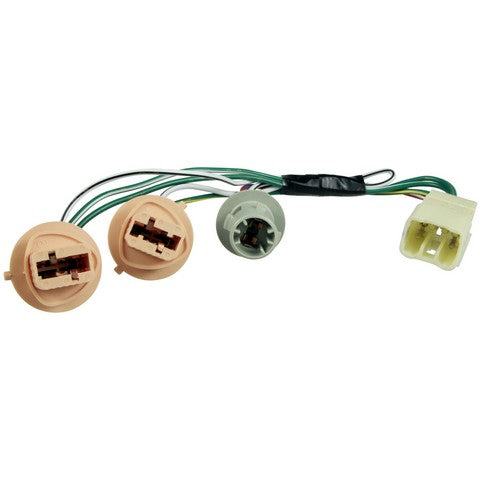 Tail Light Connector WVE 1P2423