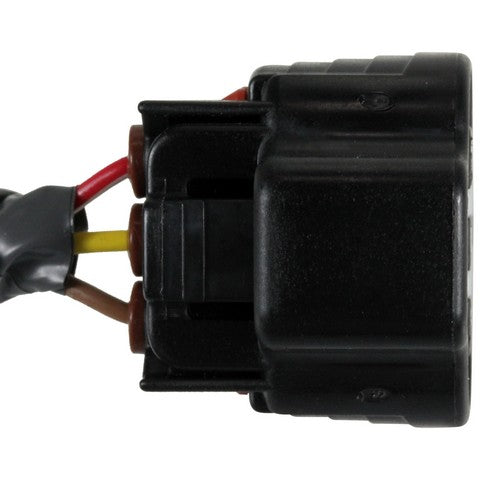Ignition Knock (Detonation) Sensor Harness WVE 1P2424