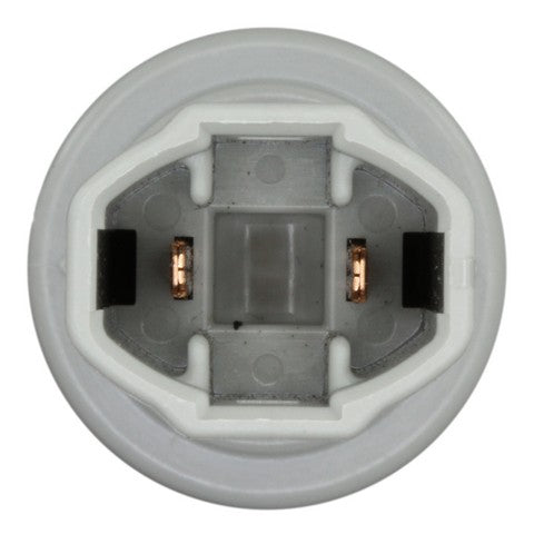 License Plate Light Socket WVE 1P2428