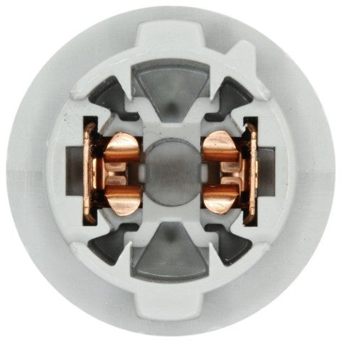 License Plate Light Socket WVE 1P2428