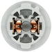 License Plate Light Socket WVE 1P2428