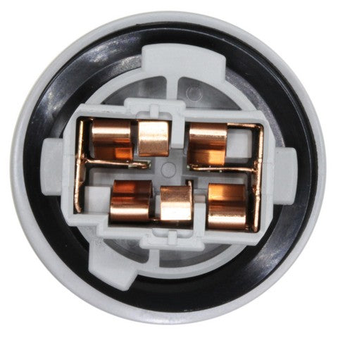 Turn Signal Light Socket WVE 1P2429