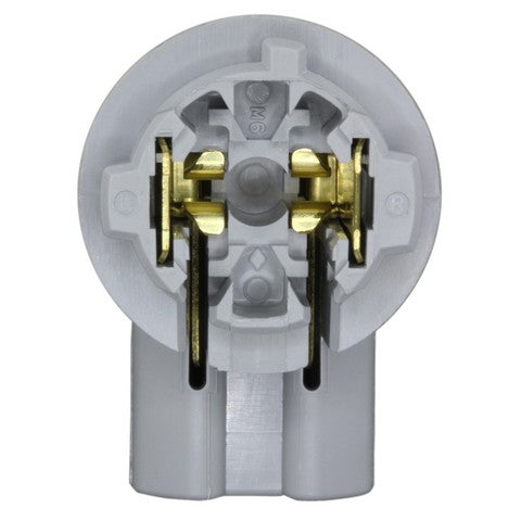 Back Up Light Socket WVE 1P2430