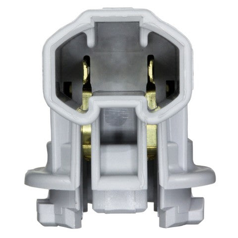 Back Up Light Socket WVE 1P2430