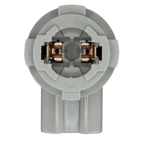 License Plate Light Socket WVE 1P2439