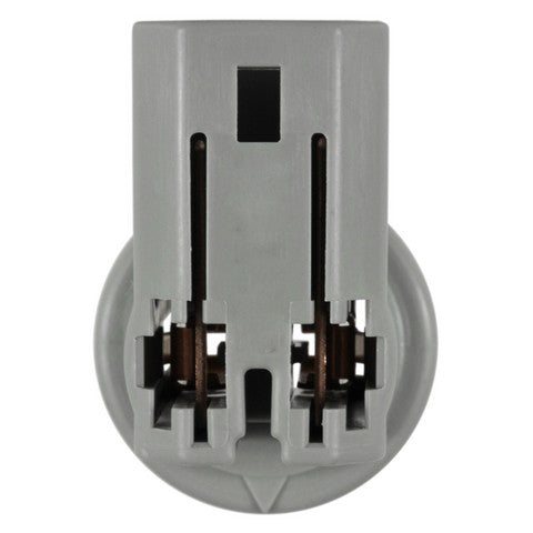 License Plate Light Socket WVE 1P2439