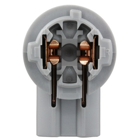 License Plate Light Socket WVE 1P2440