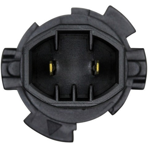 License Plate Light Socket WVE 1P2442