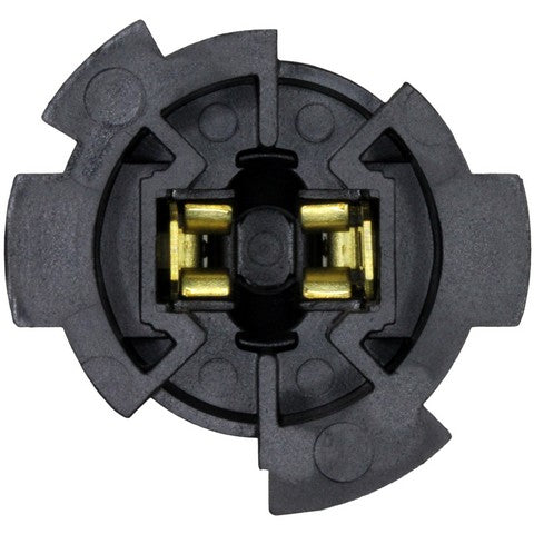 License Plate Light Socket WVE 1P2442