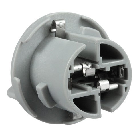Back Up Light Socket WVE 1P2446