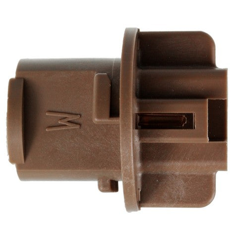 Tail Light Socket WVE 1P2448