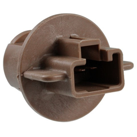 Tail Light Socket WVE 1P2448