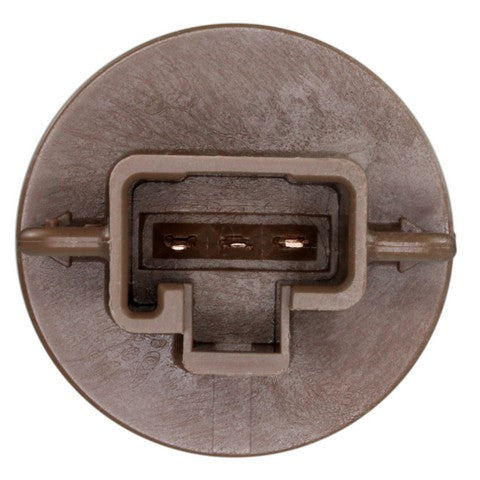 Tail Light Socket WVE 1P2448