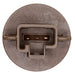 Tail Light Socket WVE 1P2448