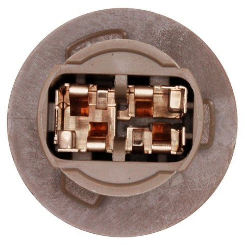 Tail Light Socket WVE 1P2448