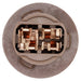 Tail Light Socket WVE 1P2448