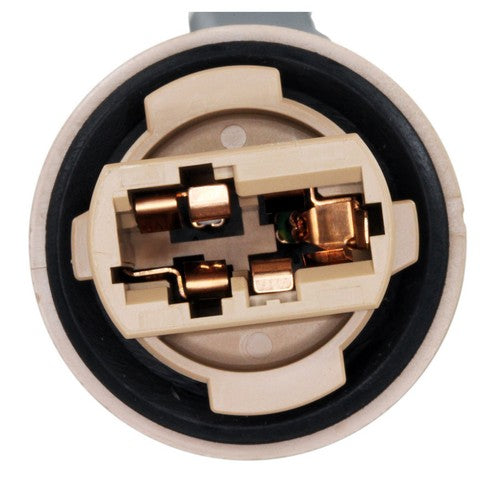 Turn Signal Light Socket WVE 1P2466