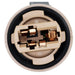 Turn Signal Light Socket WVE 1P2466