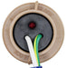 Turn Signal Light Socket WVE 1P2466