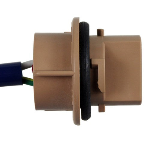 Turn Signal Light Socket WVE 1P2466