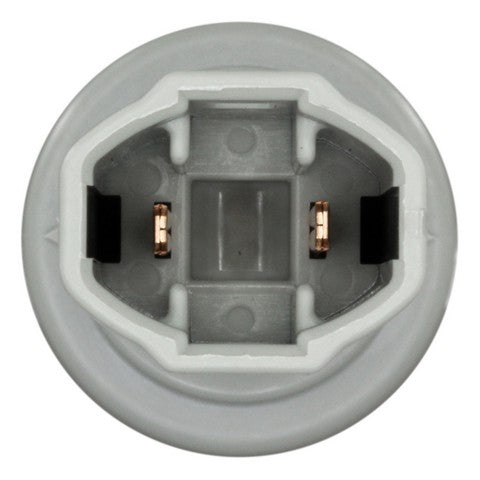 License Plate Light Socket WVE 1P2467