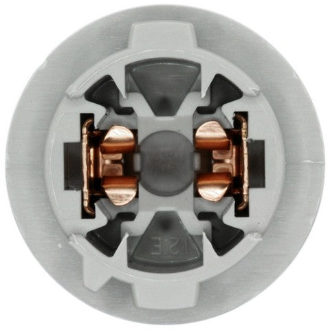 License Plate Light Socket WVE 1P2467